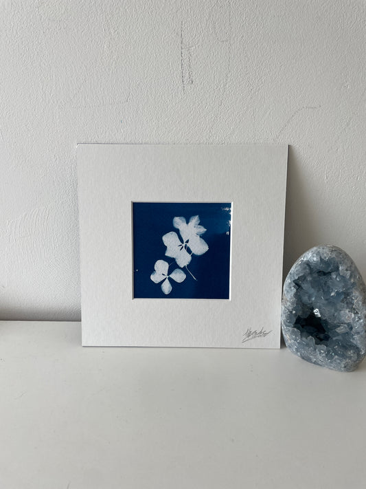 " #7 "